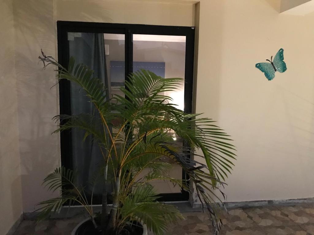 Nicole Residence Avec Piscine Chauffee & Jacuzzi 圣安德烈 外观 照片