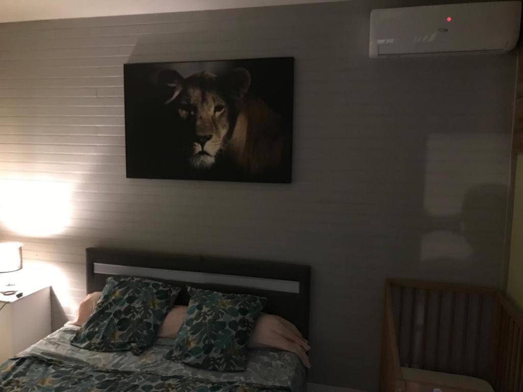 Nicole Residence Avec Piscine Chauffee & Jacuzzi 圣安德烈 外观 照片